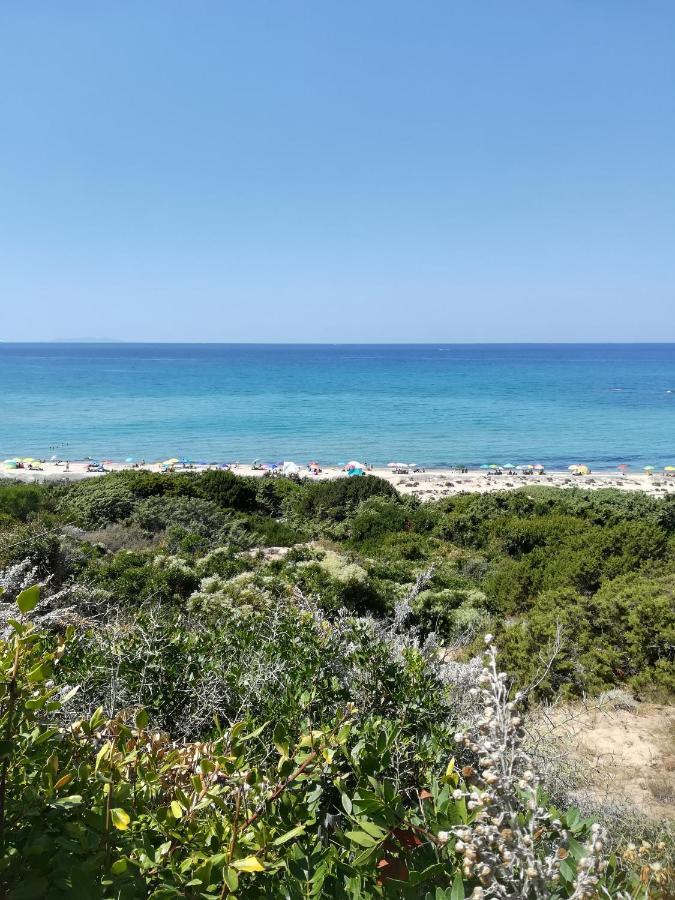 Sea Paradise Apartment Valledoria  Exteriér fotografie
